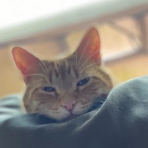 Meet your Posher, Posh